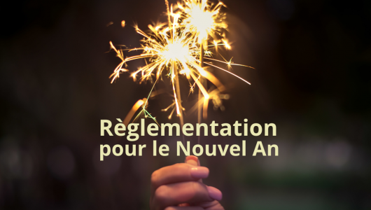 reglementation nouvel an