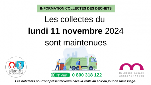 collecte 11 nov 2024